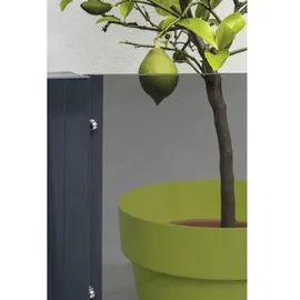 BM Massivholz Zaun Hauptelement Vidrio 120 x 180 cm Grau/Glas