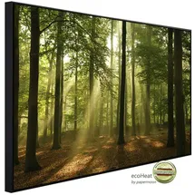 Papermoon Wald am Morgen 600 W bunt