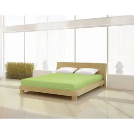 Mr Sandman Elastan Basic Jersey-Elasthan 180 x 200 - 200 x 220 cm kiwi