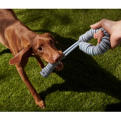 Tchibo - Hunde-Zerrspielzeug - beige