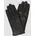 Leder L