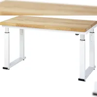 Rau Werkbank adlatus 600 elektrisch höhenverstellbar Buche-Massiv-Platte 1500 mm x 700 mm