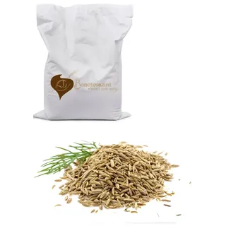 Bongiovanni Bontà Naturali Fenchelsamen 1 kg Bio