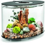 OASE biOrb LOOP 15 LED schwarz Aquarium EEK: G (A - G) 15l mit LED-Beleuchtung