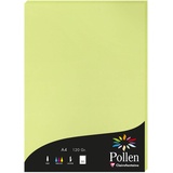 Clairefontaine 44205C Packung mit 50 Karten Pollen 120g, DIN A4, 21 x 29,7cm, Knospengrün