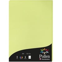 Clairefontaine 44205C Packung mit 50 Karten Pollen 120g, DIN A4, 21 x 29,7cm, Knospengrün