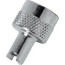 BTR Metall-Ventilkappe mit Schlüssel DIN 7757 100 Stück