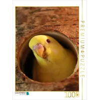 Calvendo Puzzle 1000 Teile Lege-Größe 64x48cm Foto-Puzzle für glückliche Stunden