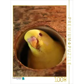 Calvendo Puzzle 1000 Teile Lege-Größe 64x48cm Foto-Puzzle für glückliche Stunden