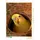 Calvendo Puzzle 1000 Teile Lege-Größe 64x48cm Foto-Puzzle für glückliche Stunden