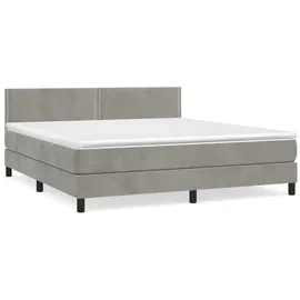 vidaXL Boxspringbett mit Matratze Hellgrau 160x200 cm Samt