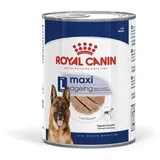 Royal Canin Sparpaket: Royal Canin Maxi Ageing Mousse Hundefutter nass