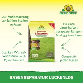 NEUDORFF Rasenreparatur Lückenlos 2,5 kg