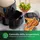Philips Essential Airfryer HD9200/90 schwarz