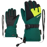 Ziener LANI Ski-Handschuhe/Wintersport | wasserdicht atmungsaktiv, deep green, 6,5