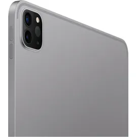 Apple iPad Pro 11" (4. Generation 2022) 256 GB Wi-Fi space grau