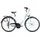 Pegasus Piazza 21 28 Zoll RH 21 cm weiß