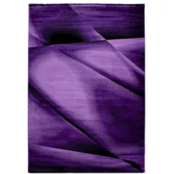 Teppich Kurzflor Abstrakt Polypropylen saugroboter Wohnzimmer Violett Rechteckig 120x170 | Kadima Design