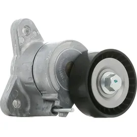 RIDEX 310T0251 Spannrolle