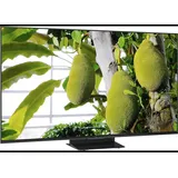 TCL 55MSQLED85L 55" 3840 x 2160 Pixel LED 4K-Fernseher