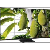 TCL 55MSQLED85L 55" 3840 x 2160 Pixel LED 4K-Fernseher