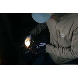 Silva Glow Recharge Taschenlampe - Blue - One Size