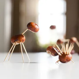 Relaxdays Zahnstocher 12000er Set