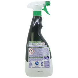 Ariel Fleckenentferner Spray 750ml