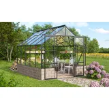 Vitavia Cassandra 8300 Alu Schwarz ESG 3 mm 8,3 m2