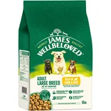 James Wellbeloved Lamm & Reis für große Hunde 2 x 10 kg
