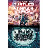 Teenage Mutant Ninja Turtles x Stranger Things