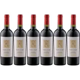 9% Rabatt || 6x Terre Avare Primitivo di Manduria, 2022 - Weingut Terre Avare, ...