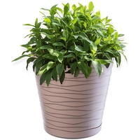 Kadax Blumentopf mit Untersetzer, aus Kunststoff, rund, 19 cm,