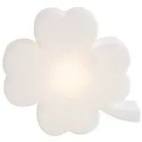 8 seasons DESIGN Shining Luck Micro 12 USB-C