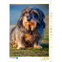 Calvendo Puzzle Rauhaardackel 1000 Teile Lege-Größe 48 x 64