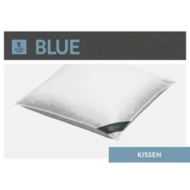SPESSARTTRAUM 3-Kammer-Kopfkissen 40 x 80 cm Blau