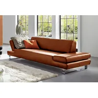 3-Sitzer W.SCHILLIG "taboo Designsofa mit hohem Sitzkomfort, Breite 232cm, Sitztiefe 59cm", braun (cognac z69), B:232cm H:76cm T:91cm, Flachgewebe S22 (100% Polyester);Stoff S37 (100% Polyester): Luxus-Microfaser in Lederoptik;Longlife Xtra-Leder Z59: Glattleder mit modischer Prägung. Hautstärke 0, 9 - 1, 1 mm;Longlife Xtra-Leder Z69: Das feinnarbige, gedeckte Softleder Z69 besticht durch seine außergewöhnliche Weichheit im trendigen »Vintage-Look«, Hautstärke 0, 9 - 1, 1 mm, Sofas, mit Normaltiefe,