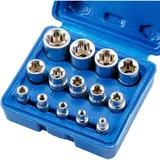 Steckschlüssel- Und Bit-set Für Schraubenschlüssel. Set Mit 14 Torx-innensteckschlüsseln E4-e24 Und Torx-innensteckschlüsseln.