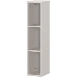 Germania Wandregal 19 x 25 x 90 cm Braun