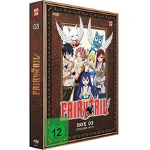 Fairy Tail - Box 3 (DVD)
