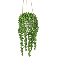 luxuskollektion Hängepflanze künstliche Sukkulenten Senecio 35cm Type 5