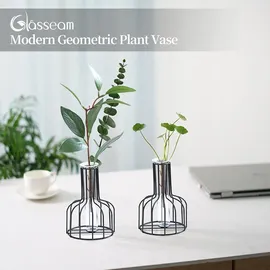 luxuskollektion 2er Set Mini Glasvasen Schwarz - Modernes Hydroponik Blumenvase für