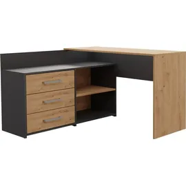 Topeshop DANY ANT/ART KPL Computertisch