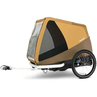 Tammo sundown yellow