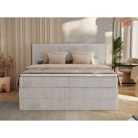 MKS Meble Boxspringbett TILIANO KING - 160/200 - Hellgrau Cord - H3,