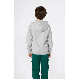 Champion Hoodie Grey 164