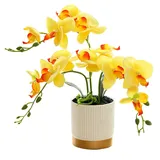 Elegante Phalaenopsis Bonsai Dekor Künstliche Orchidee Blume für Zuhause und Büro (Gelb)