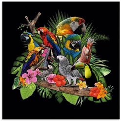 Artland Glasbild Papageien Graupapagei Kakadu Dschungel, Vögel (1 St), in verschiedenen Größen bunt 50 cm x 50 cm