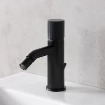Fortis Brera Grip Bidetarmatur Schwarz 7G30600BB