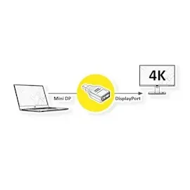 Value DisplayPort Adapter, Mini DP ST - DP BU
